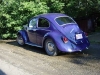 68-vw-beetle-back